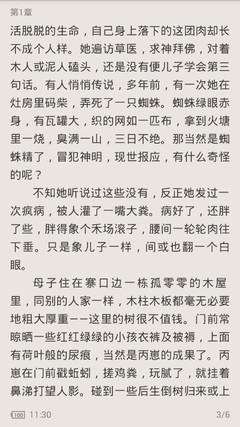 有菲律宾投资移民怎么过去(投资移民办理最近分享)